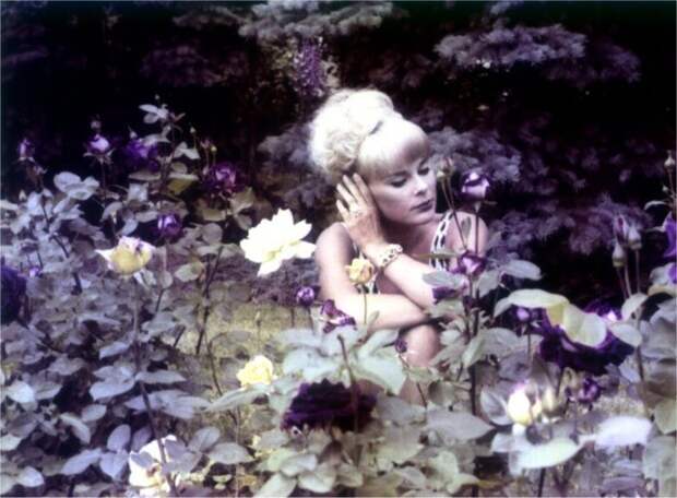 Elke Sommer