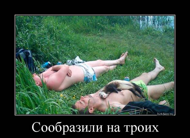 Демотиваторы демотиваторы, прикол, смех, юмор