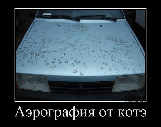 Аэрография от котэ демотиватор, юмор