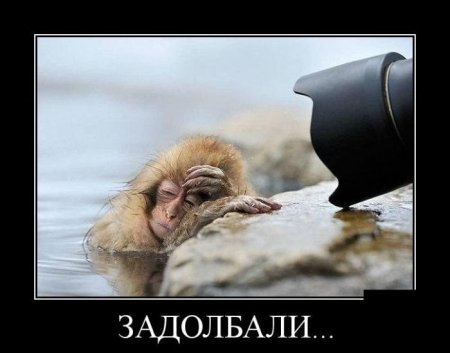 Картинки в черных рамках
