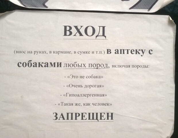 позитивные объявления с юмором 
