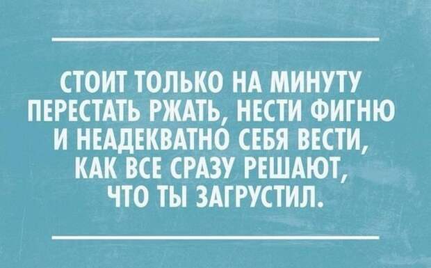Забавные открытки с отборным юмором