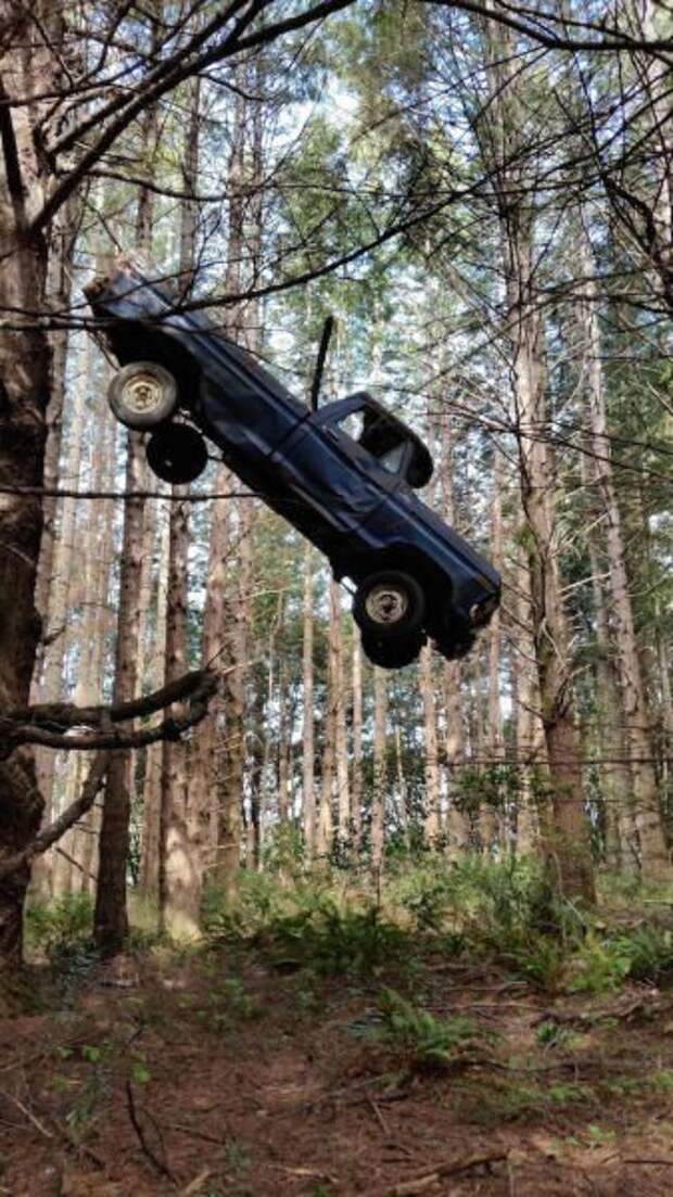 Что здесь происходит?! (31 фото)