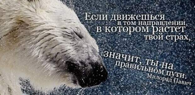 Цитаты о жизни (21 картинка)