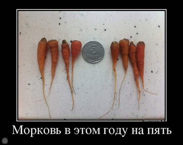 Ура, воскресенье! 5