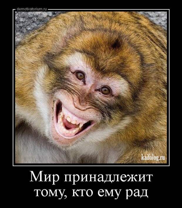 Смешные демы - 264 (50 картинок)