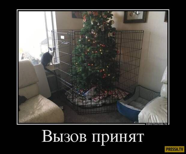 Новые смешные демотиваторы (46 фото)