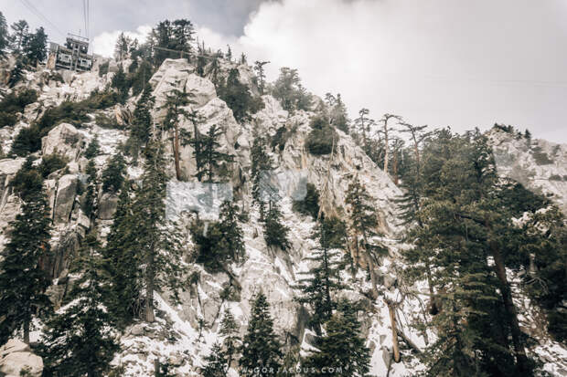 Winter in Mount San Jacinto State Park-3.jpg