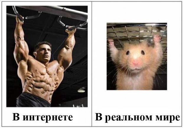 Различия людей в интернете и в реальной жизни (19 фото)