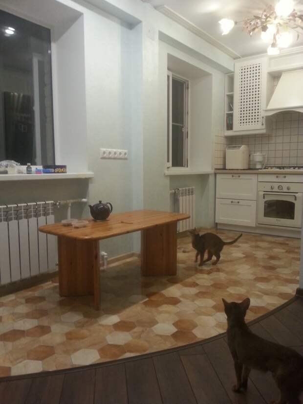 Белая кухня. Коты в кухне.