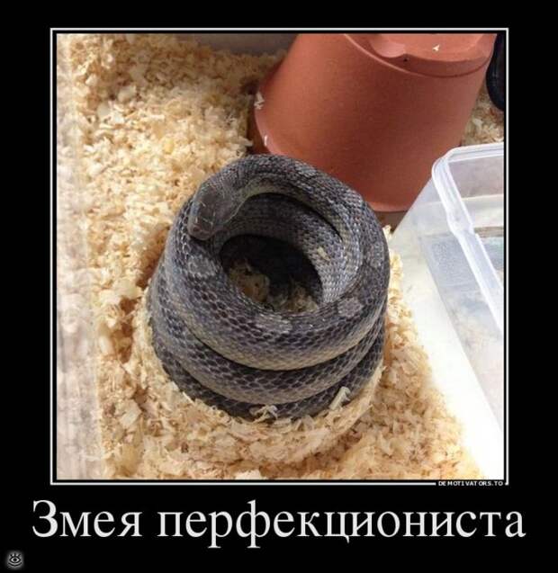 Место встречи изменить нельзя! 15