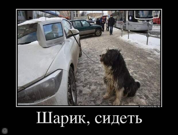 Всё тлен и суета, кроме радости 3