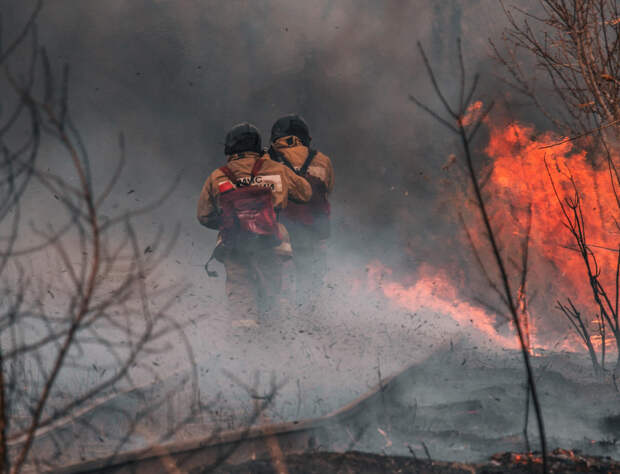 В России могут ввести уголовную ответственность за поджог леса и травы: поручение Путина