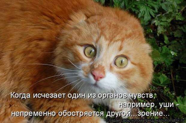 Мысли вслух :)