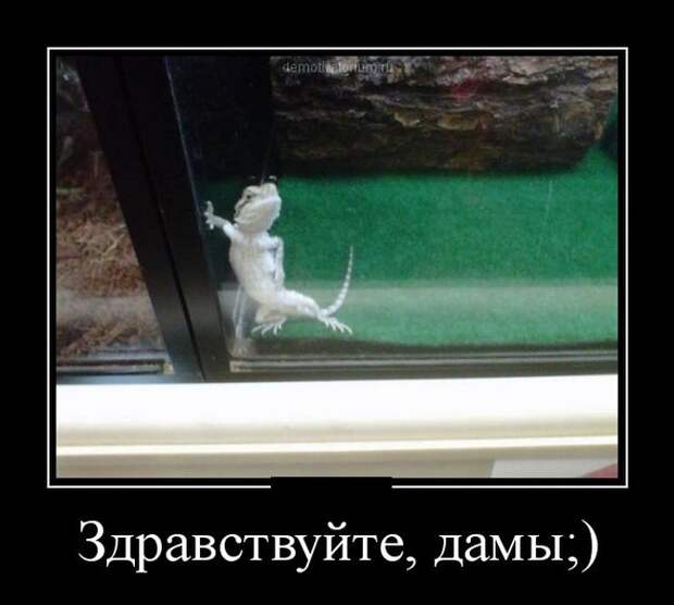 Демотиваторы Демотиваторы демотиваторы, юмор