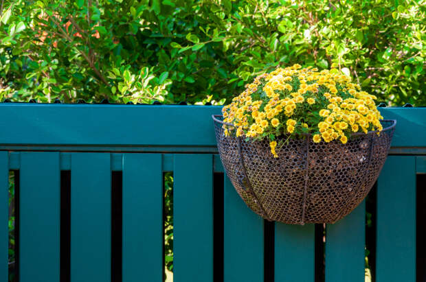 Designed by Freepik. Источник: www.freepik.com