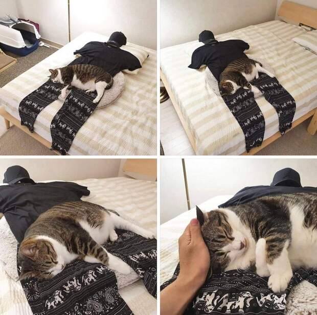 kartinok-veselyh-interesnyh-kartinki-smeshnye-kartinki-fotoprikoly kartinok-veselyh-interesnyh-kartinki-smeshnye-kartinki-fotoprikoly