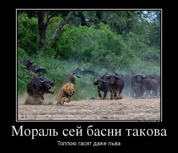 Демотиваторы 