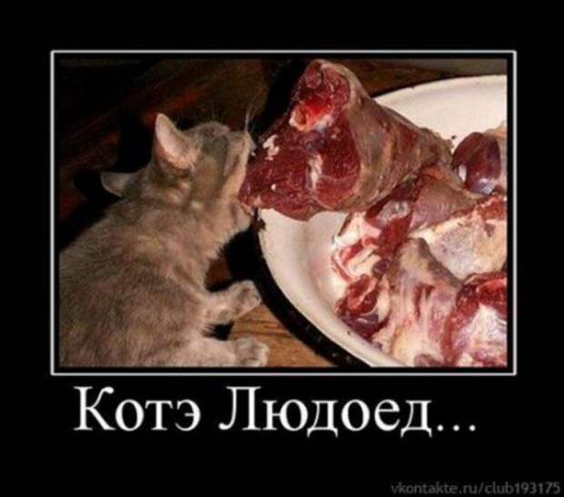 Димотиваторы прикол