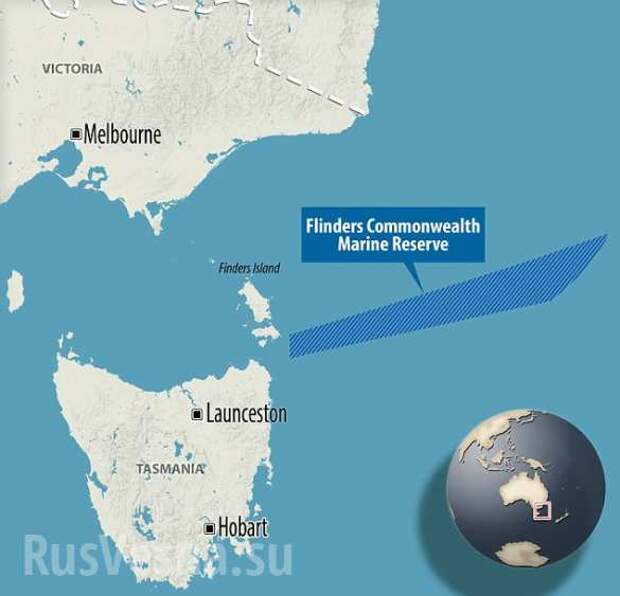 В Австралии поймана устрашающая рыба с головой ящерицы (ФОТО) | Русская весна