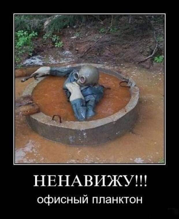 демки веселые.