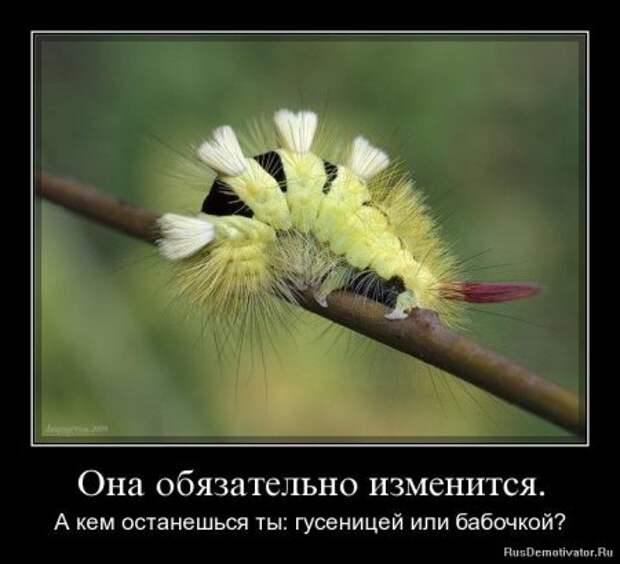 Демотиваторы про дружбу и любовь со смыслом.