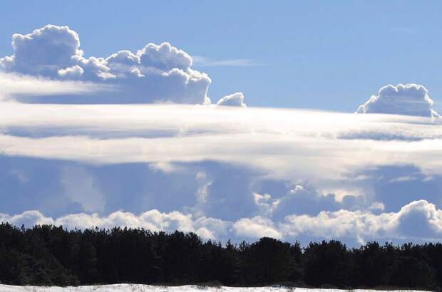Остров Аэгна зимой: красоты нетронутой северной природы Аэгна, зима, природа, эстония