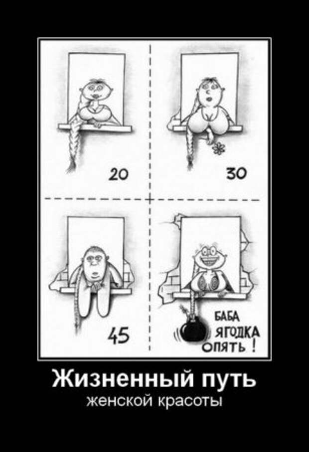 Смешные демотиваторы у нас каждый день!