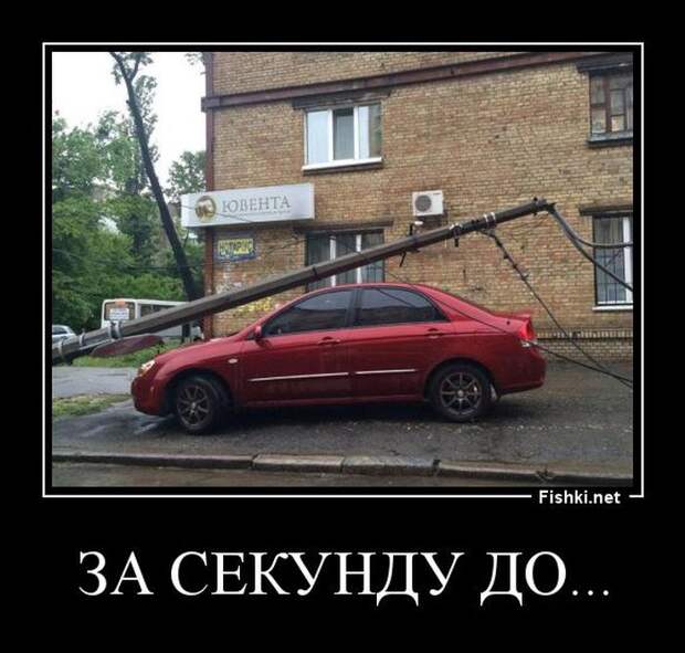 Демотиваторы Демотиваторы демотиваторы, прикол, смех, юмор