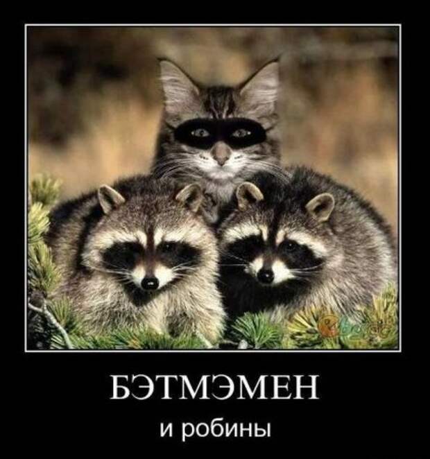 Самые смешные демотиваторы только у нас!