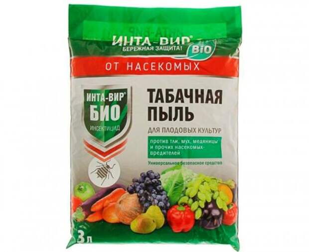 Важно помнить, что табачной пылью обрабатывают не сам лук, а междурядья и борозды. Можно использовать ее в чистом виде, а можно смешать с песком в пропорции 1:1 Важно помнить, что табачной пылью обрабатывают не сам лук, а междурядья и борозды. Можно использовать ее в чистом виде, а можно смешать с песком в пропорции 1:1