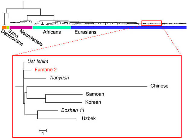 makers_of_protoaurignacian_and_implicati