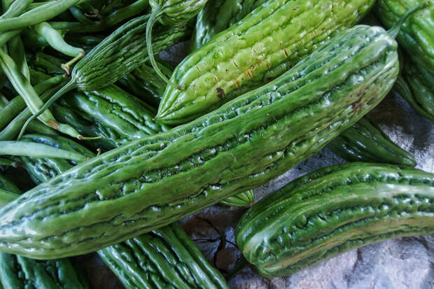 Frontiers: экстракты горькой дыни снижают уровень сахара в крови