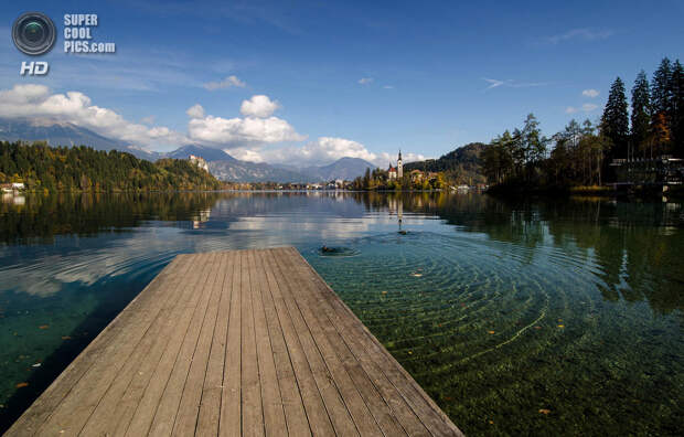 Словения. Крайна. Бледское озеро. (Csilla Zelko)