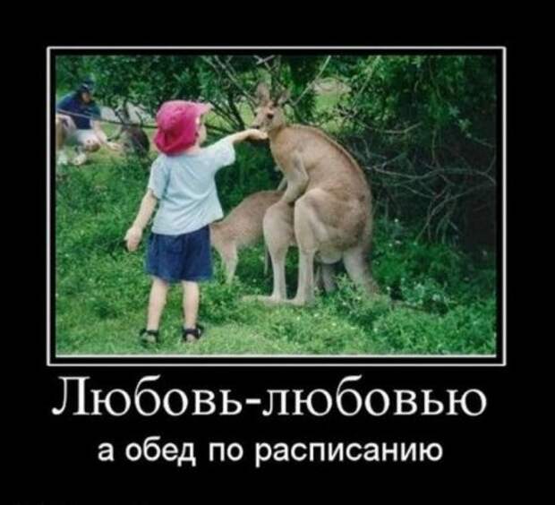 Демотиваторы к концу рабочей недели, супер смешно и прикольно!