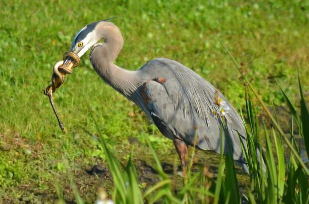 Фотоподборка за 09.12.2013 кадр, прикол, фото, фотоподборка