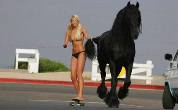 Идиотизм в картинках