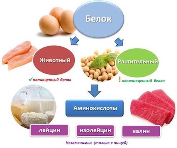 Дефицит этого вещества в организме может быть причиной жира на животе!1