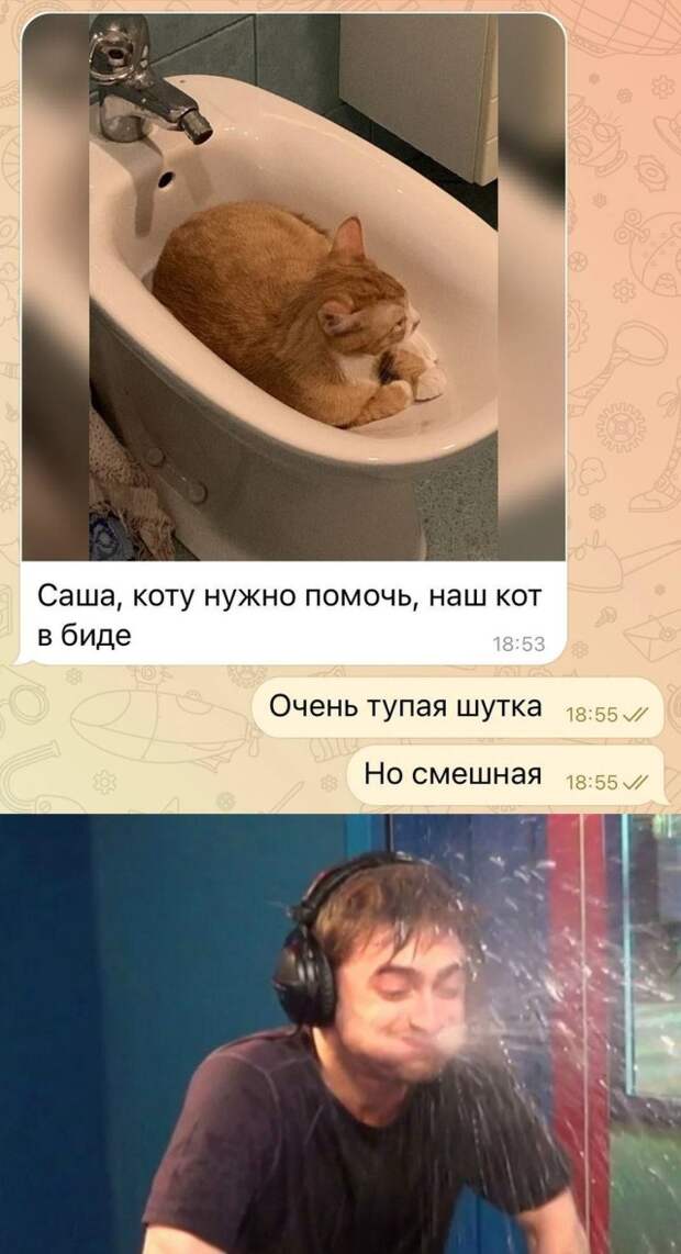 Смешные картинки вечер 25 января 2021