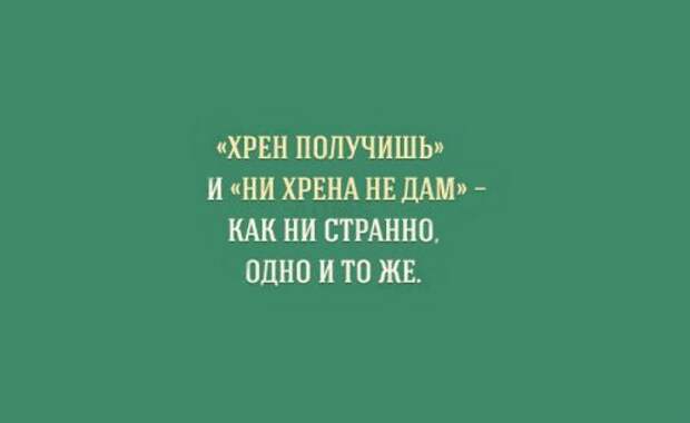 Прикольные картинки об особенностях русского языка (15 шт)