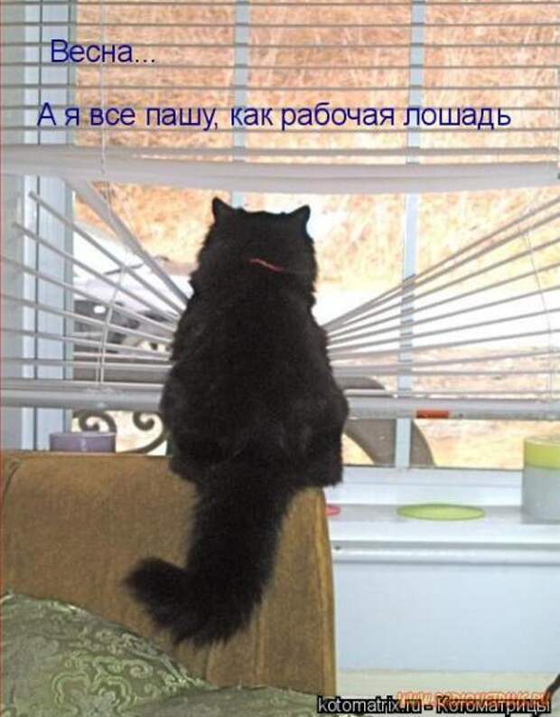 Понедельник день тяжелый