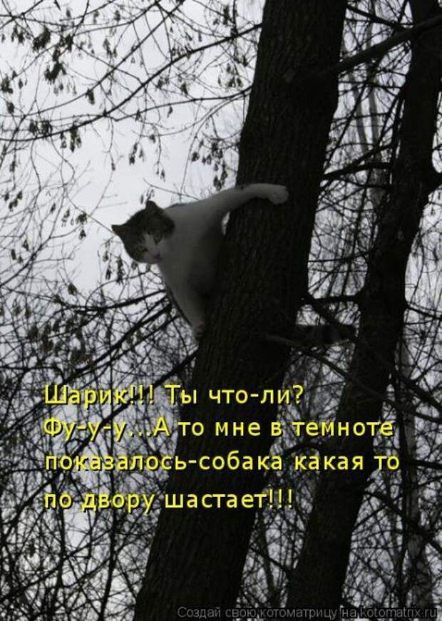 Мысли вслух :)