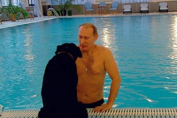 Путин жил. Путин жив! Путин будет жить? Путин жил. Путин жив! Путин будет жить?