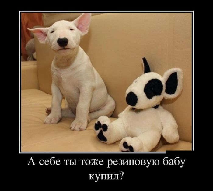 Демотиваторы (30 фото) Демотиваторы (30 фото)