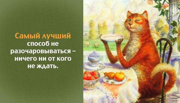 Совет дня советы, юмор