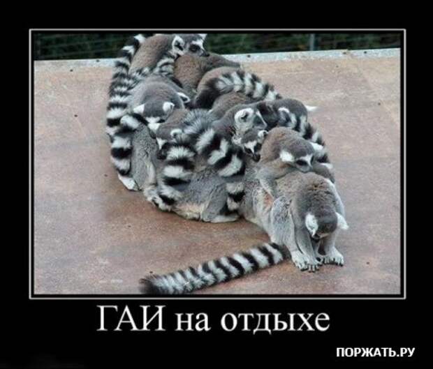 Демотиваторы (22 штуки)