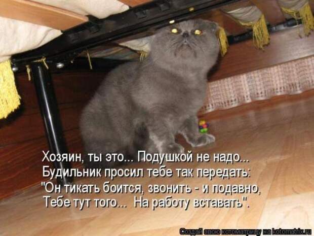 Котоматрица Котоматрица