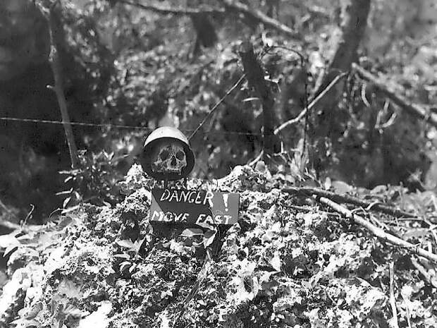 hunters skulls 6 hunters skulls 6