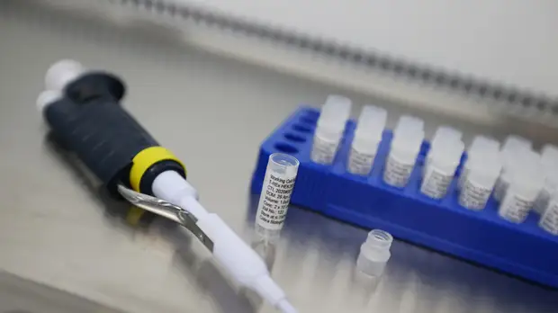 В Сахалинской области прокомментировали ситуацию с COVID-19