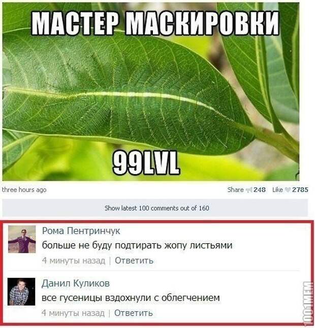 Интересное из социальных сетей прикол, юмор